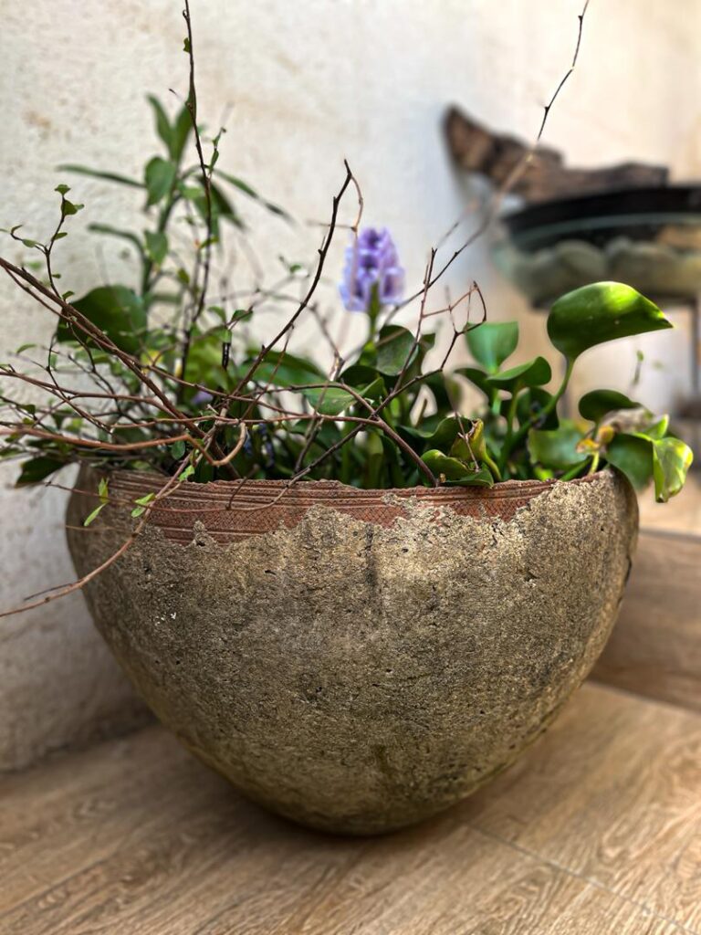 whatsapp image 2026 04 01 at 08.25.55