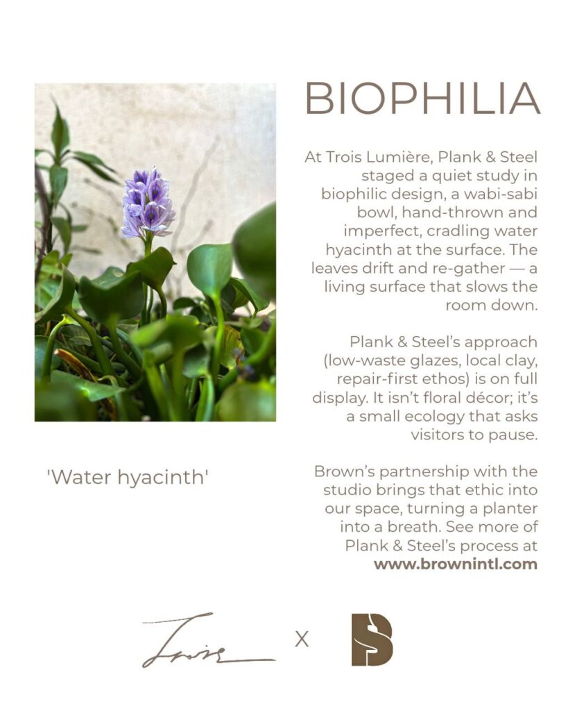 whatsapp image 2026 04 01 at 08.25.56